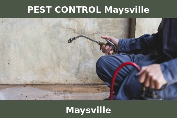 PEST CONTROL Maysville